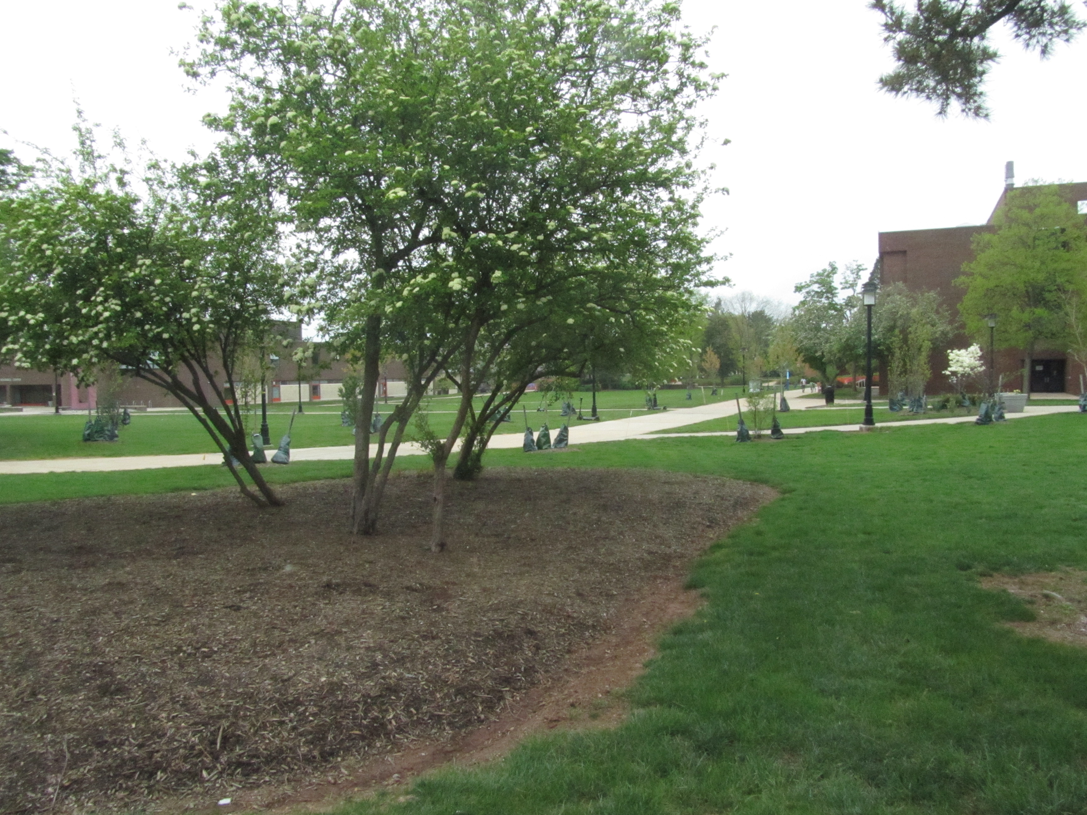 April 26 2025 - Rutgers Day<br>It RAINED!