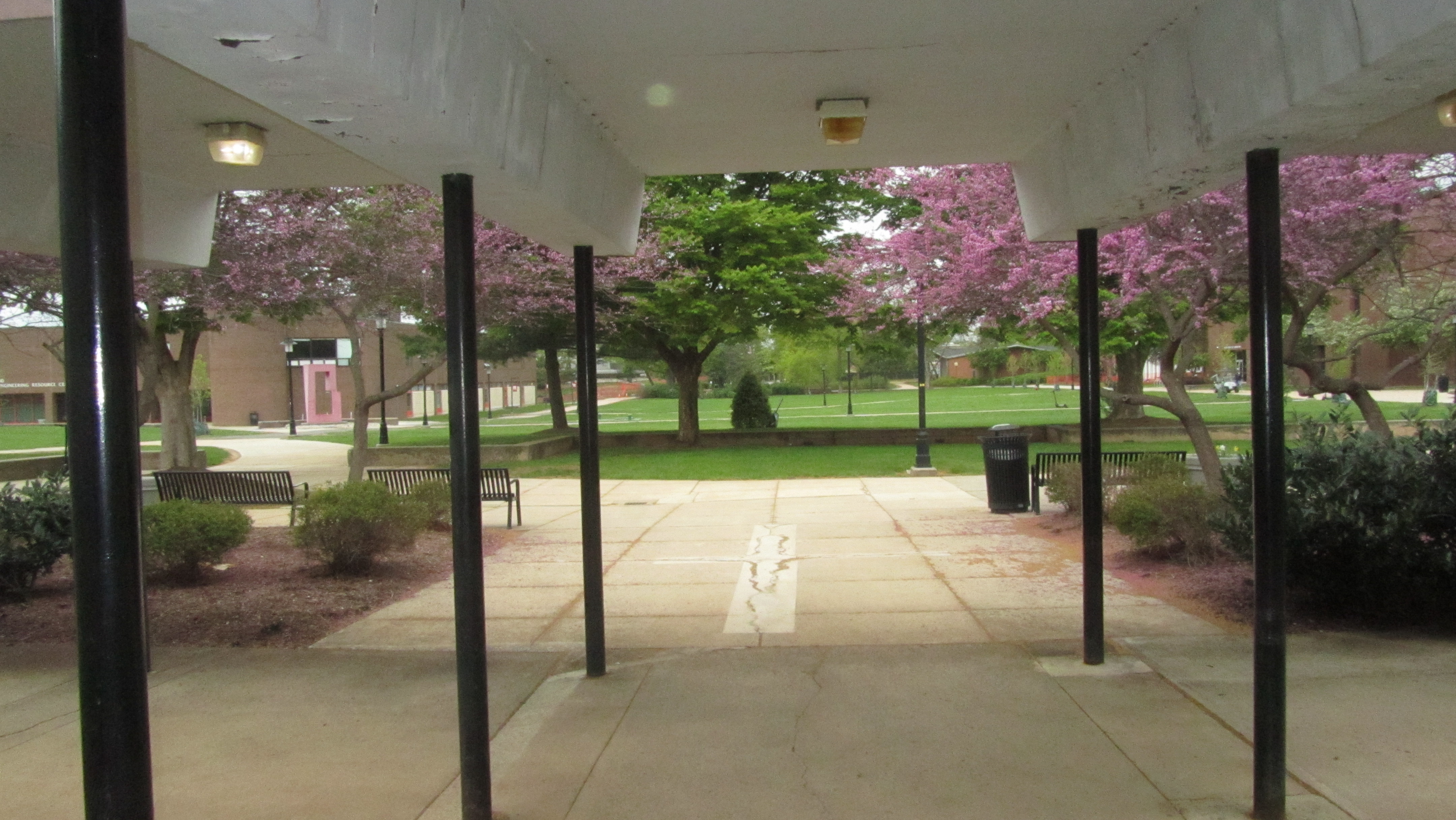 April 26 2025 - Rutgers Day<br>It RAINED!